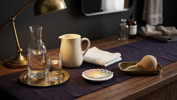 Midnight Plum flat lay with a glass pitcher of water, brass showerhead over a folded cream washcloth, pH strip card, and a douche bulb and spray inside a prohibition circle.